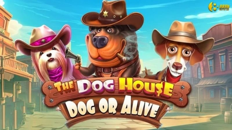 Nổ hũ the dog house - jackpot khổng lồ đang đợi 6 nhung-bi-quyet-choi-no-hu-the-dog-house-tu-cao-thu